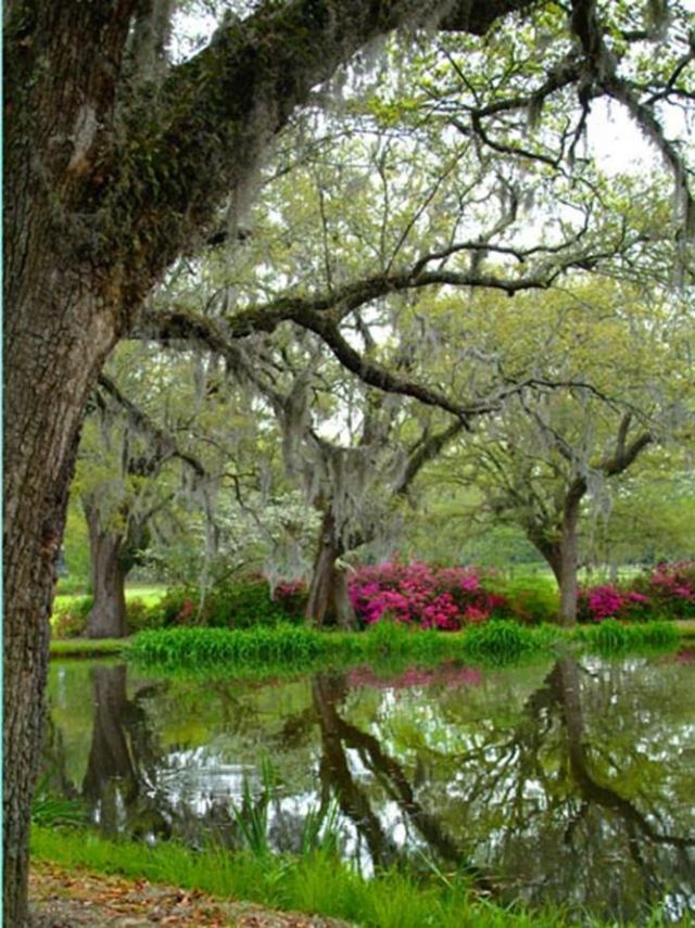 3045 Court St.  Photo 59