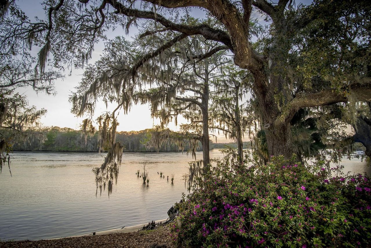 3045 Court St.  Photo 60