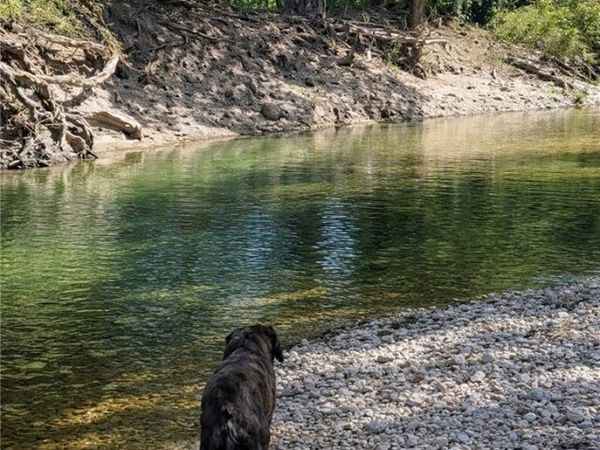 Unassigned County Road 301, Oglesby, TX 76561