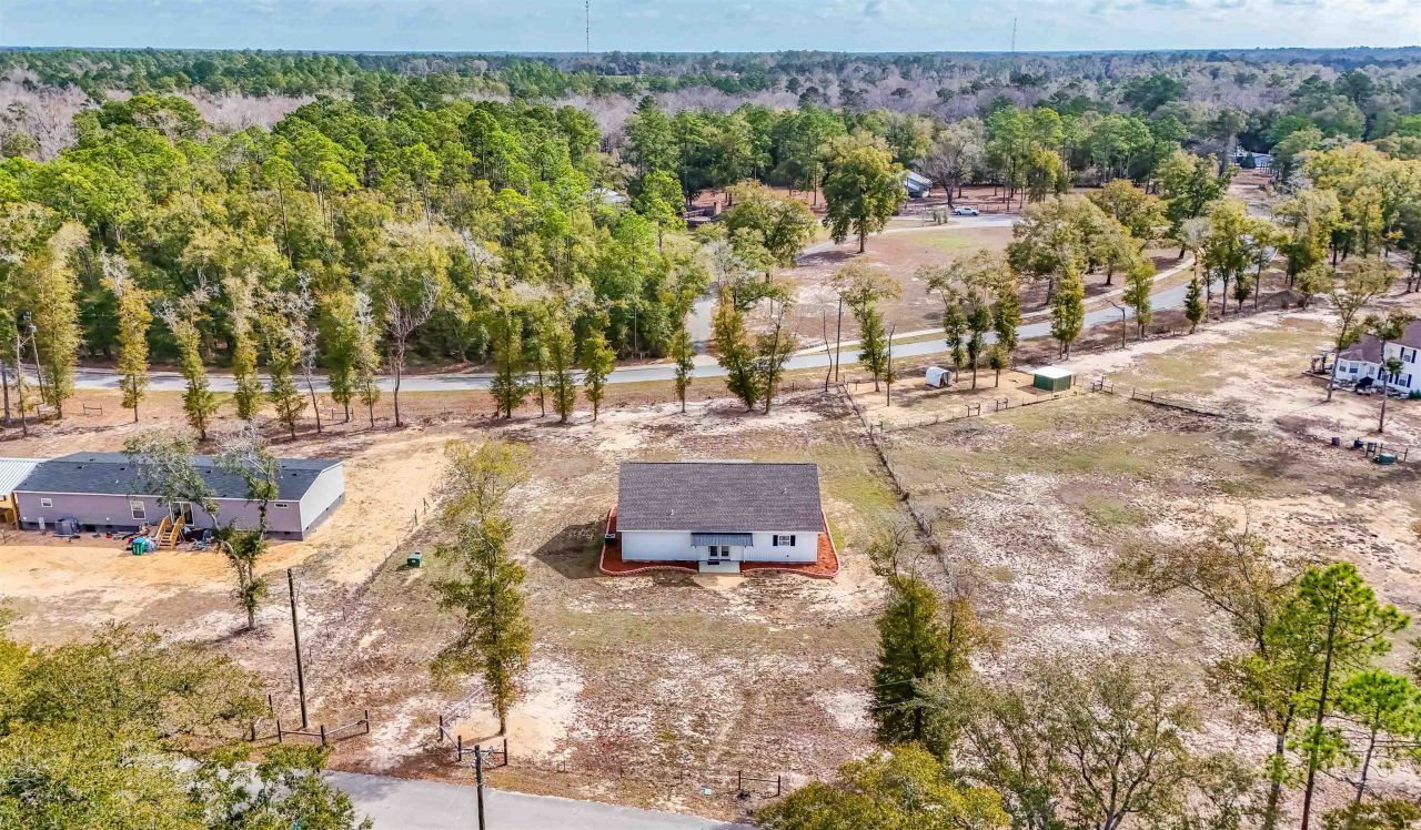15608 NE New Market Road, Hosford, FL 32334 Photo