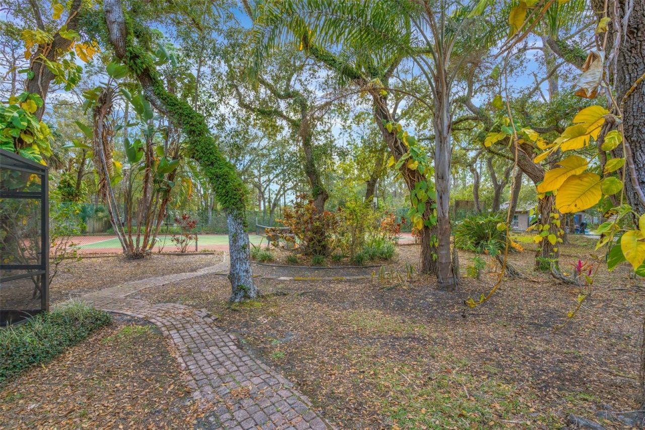 12211 Twin Branch Acres Road, Tampa, FL 33626 Photo