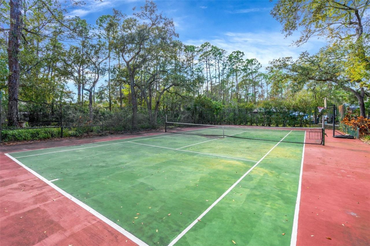 12211 Twin Branch Acres Road, Tampa, FL 33626 Photo