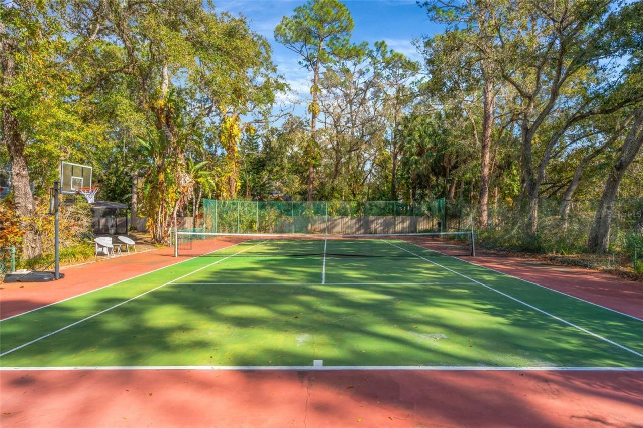 12211 Twin Branch Acres Road, Tampa, FL 33626 Photo