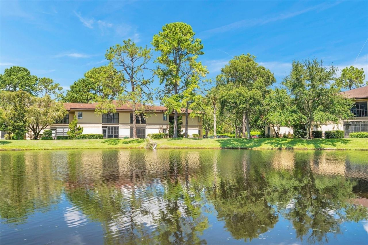 2682 Sabal Springs Circle, Unit 204, Clearwater, FL 33761 Photo