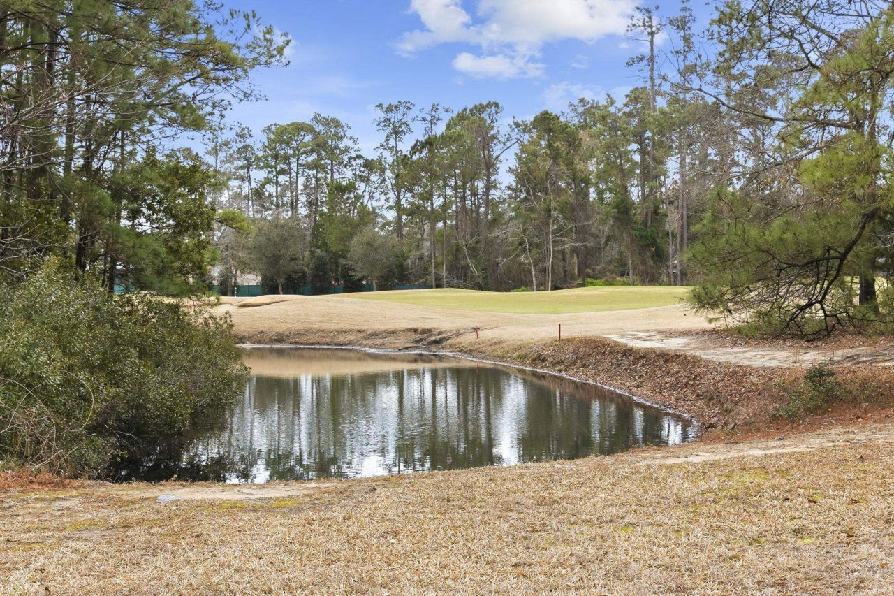 4542 Firethorne Dr. Photo 35