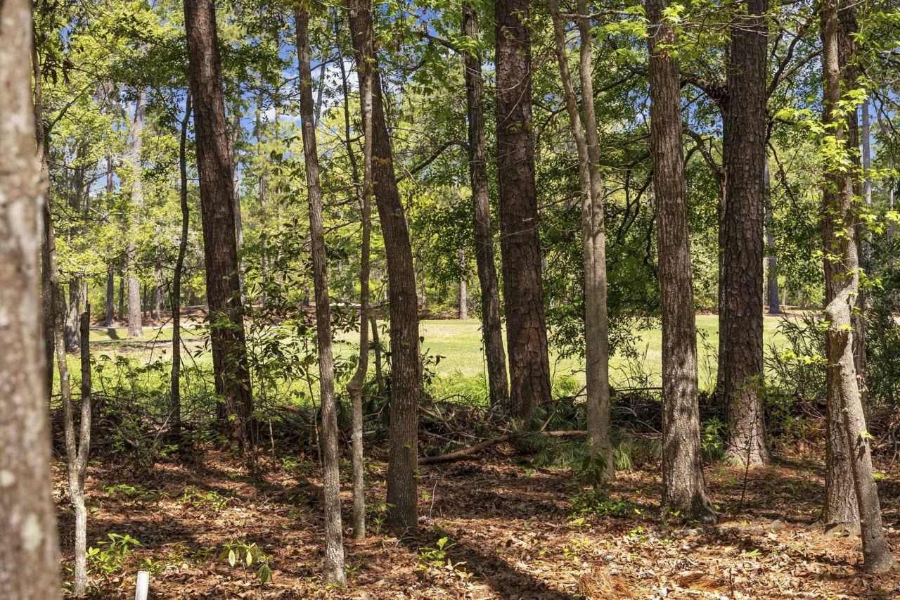 4542 Firethorne Dr. Photo 38