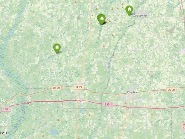 00 T J Mitchell Road , Bonifay, FL 32425