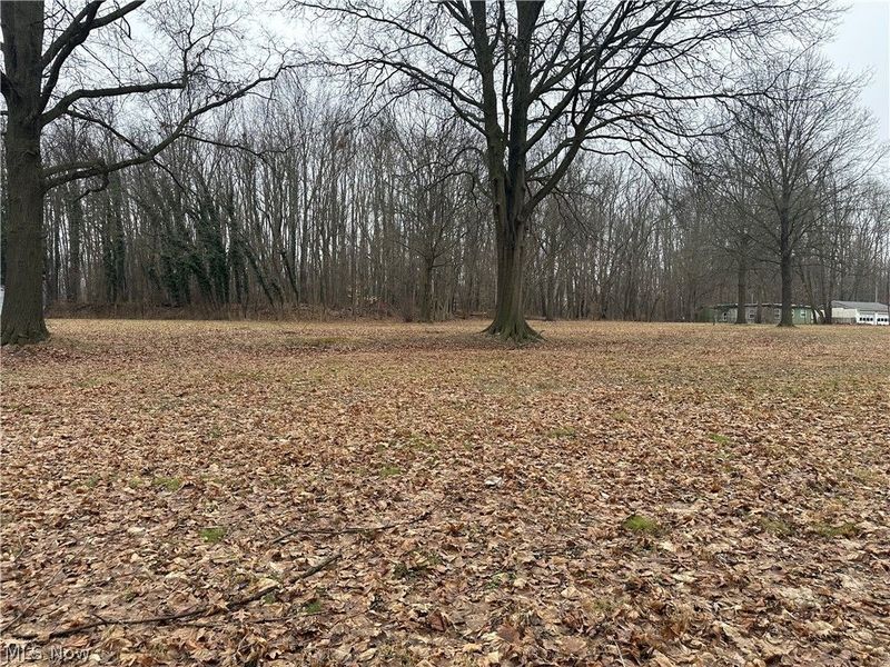 V/L Ellet Avenue, Akron, OH 44312 Photo 2