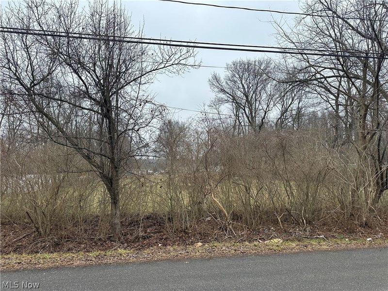 V/L Ellet Avenue, Akron, OH 44312 Photo 3