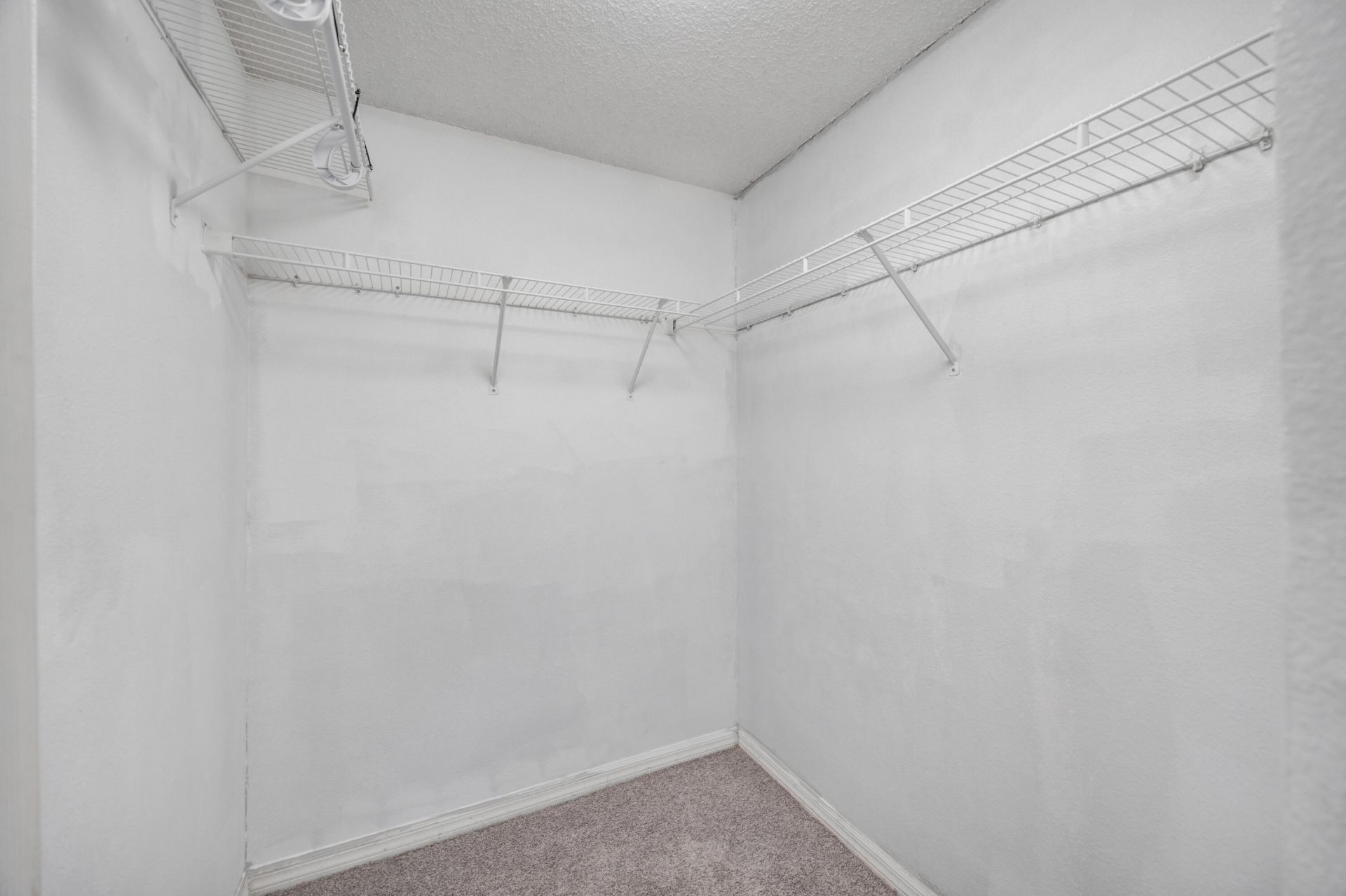 22644 Saint Thomas Circle, Lutz, FL 33549 Photo