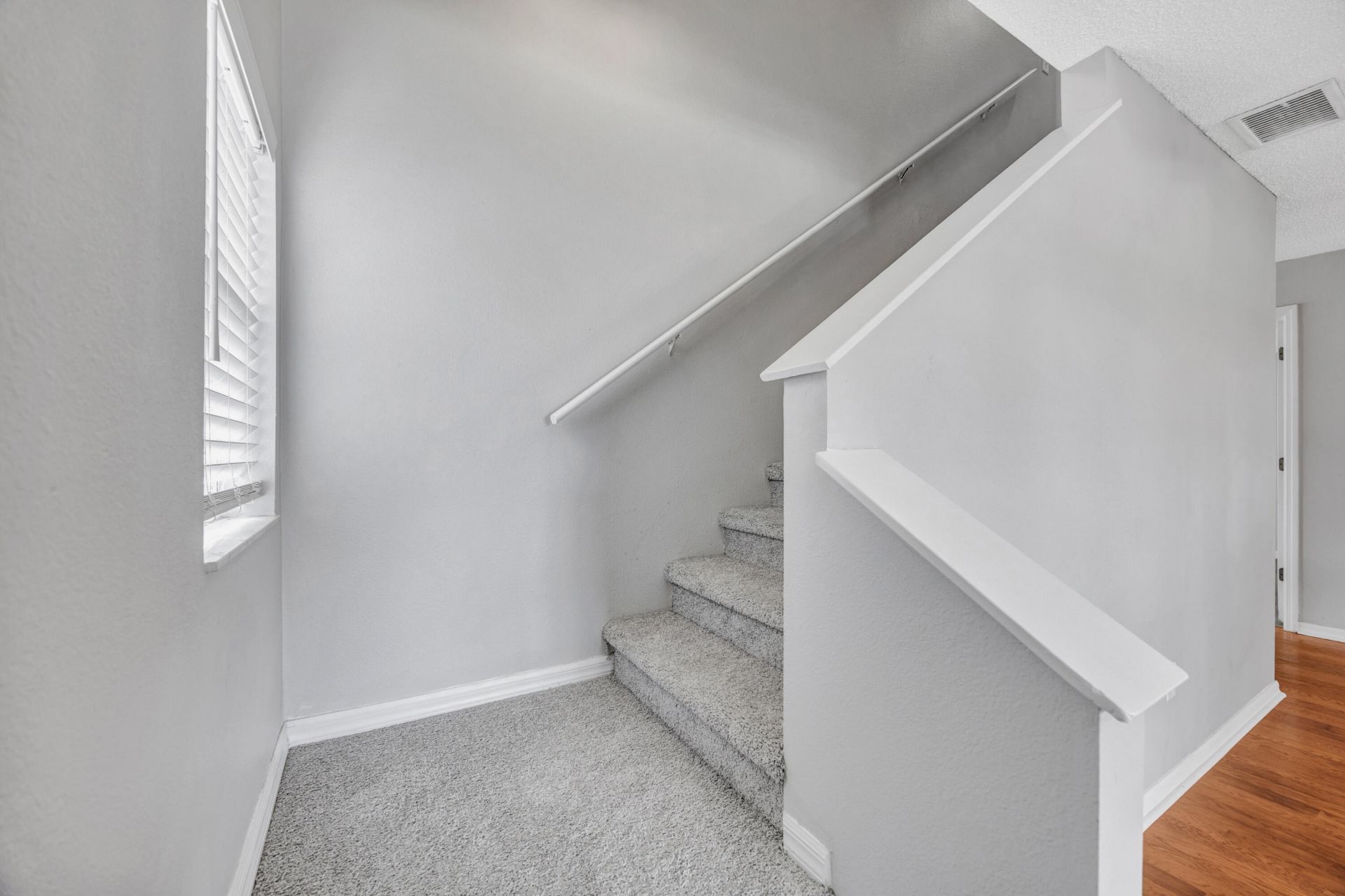 22644 Saint Thomas Circle, Lutz, FL 33549 Photo