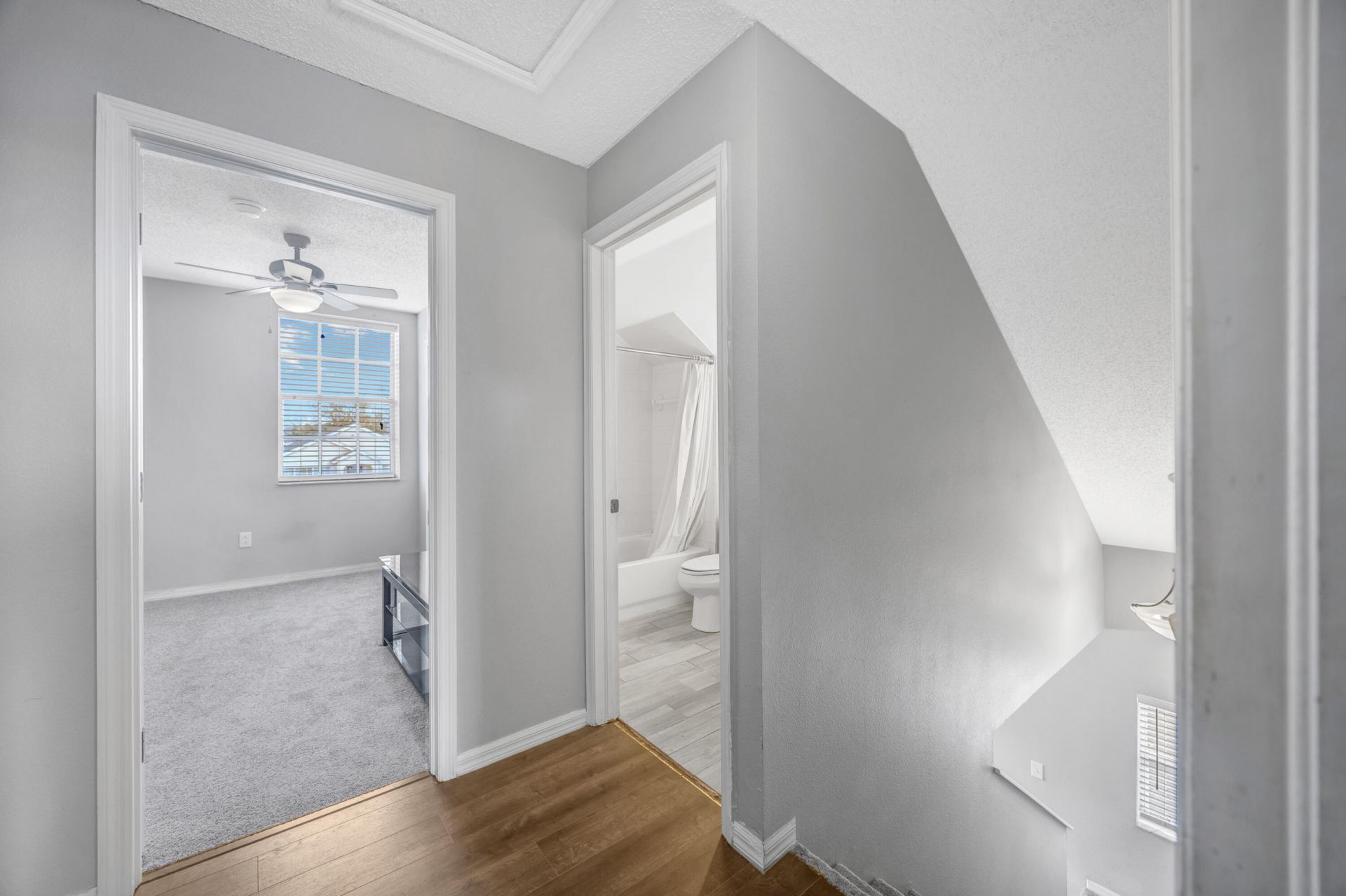 22644 Saint Thomas Circle, Lutz, FL 33549 Photo