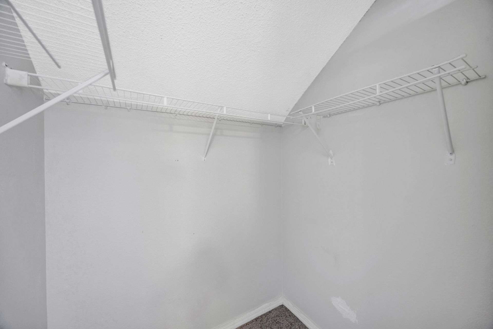 22644 Saint Thomas Circle, Lutz, FL 33549 Photo