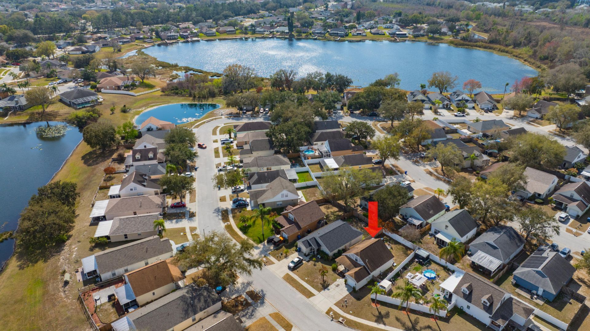 22644 Saint Thomas Circle, Lutz, FL 33549 Photo