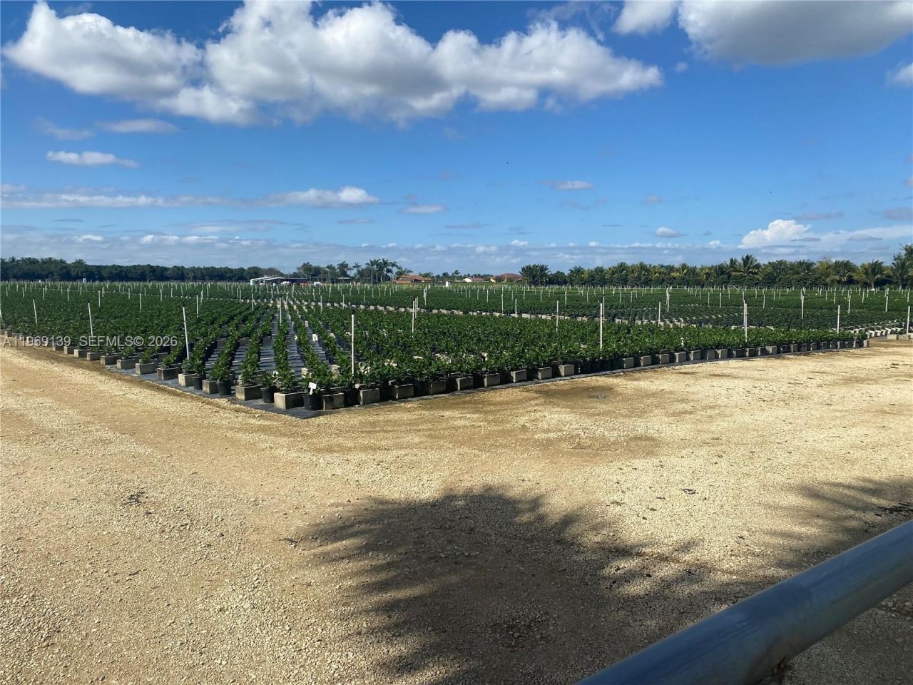 Richard Road, Homestead, FL 33031 Photo