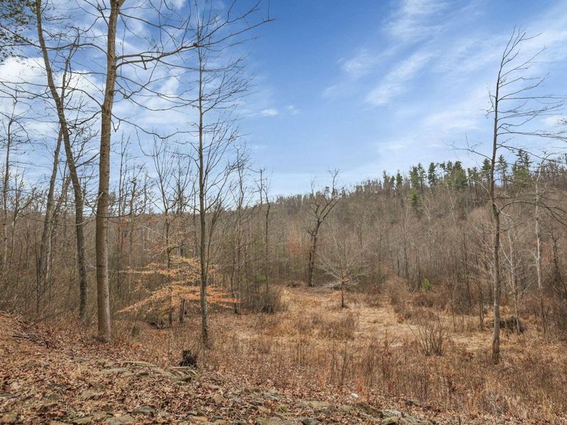 9050 Dalzell Road, Lower Salem, OH 45745 Photo 83