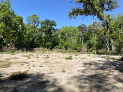 6079 Josie Ridge Road, Wadmalaw Island, SC 29487