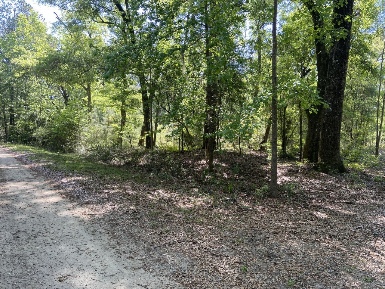 6079 Josie Ridge Road Photo 11