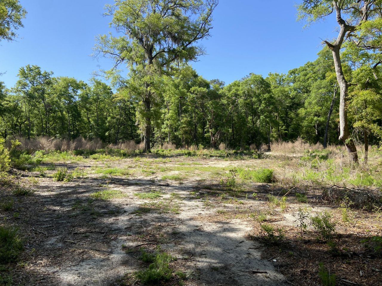 6079 Josie Ridge Road Photo 14