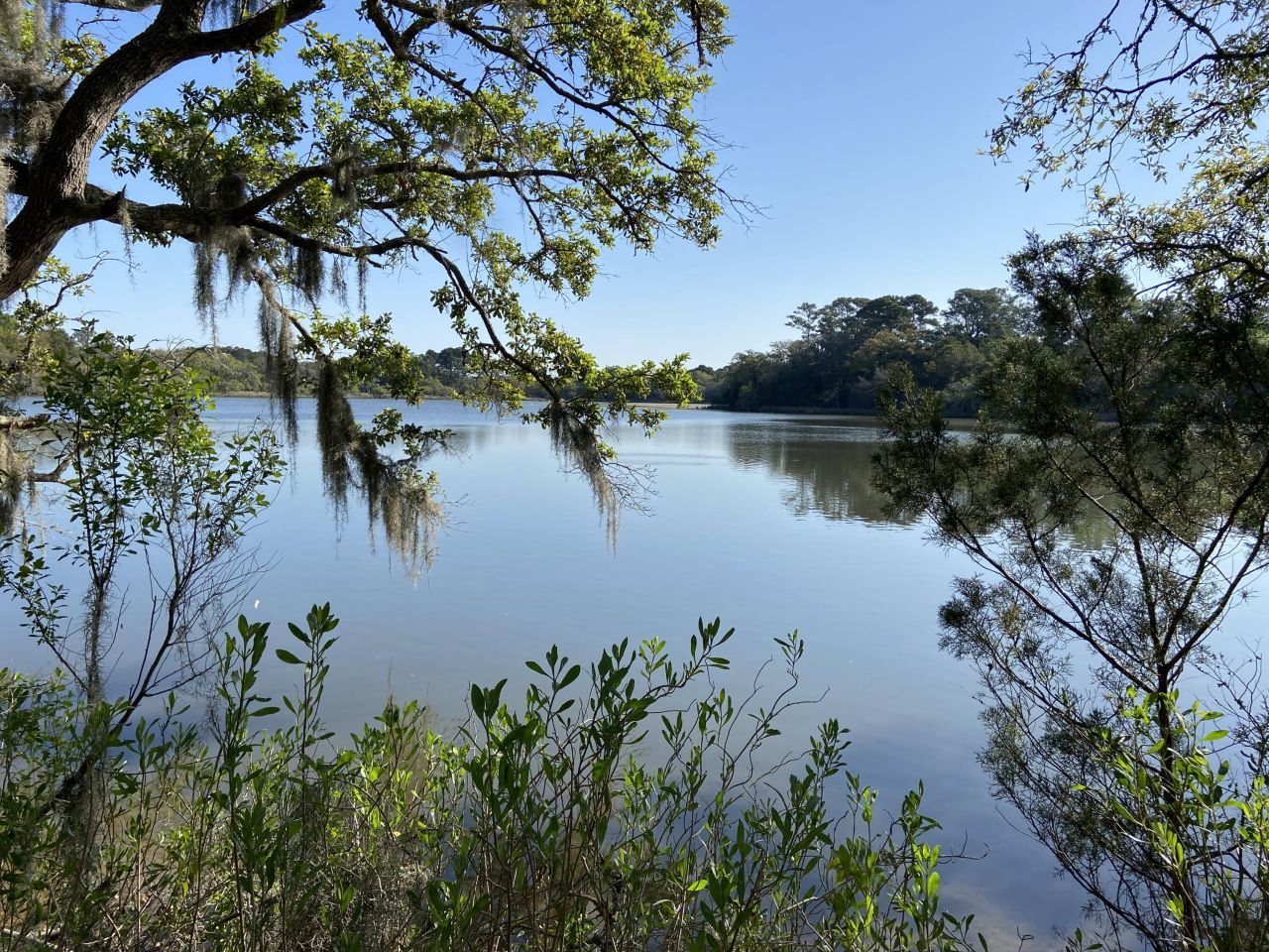 6079 Josie Ridge Road Photo 15