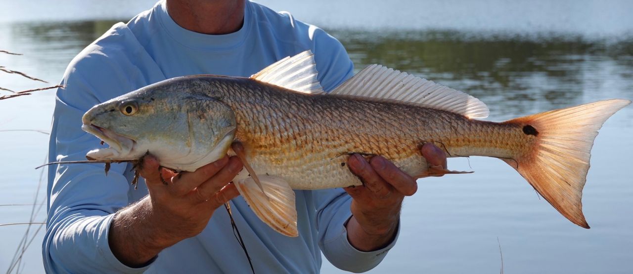 6079 Josie Ridge Road Photo 18