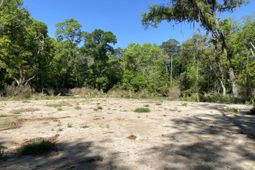 6079 Josie Ridge Road photo 4