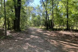 6079 Josie Ridge Road photo 4