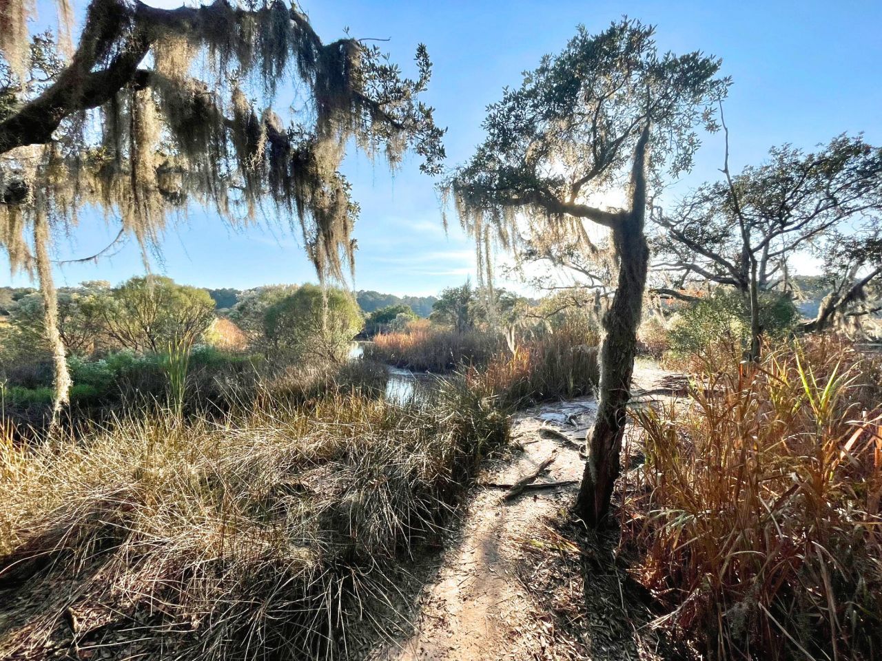 6079 Josie Ridge Road Photo 23