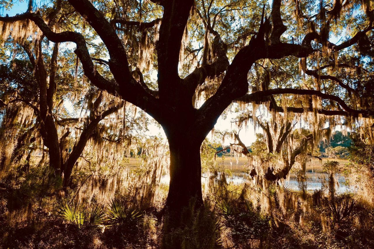 6079 Josie Ridge Road Photo 24