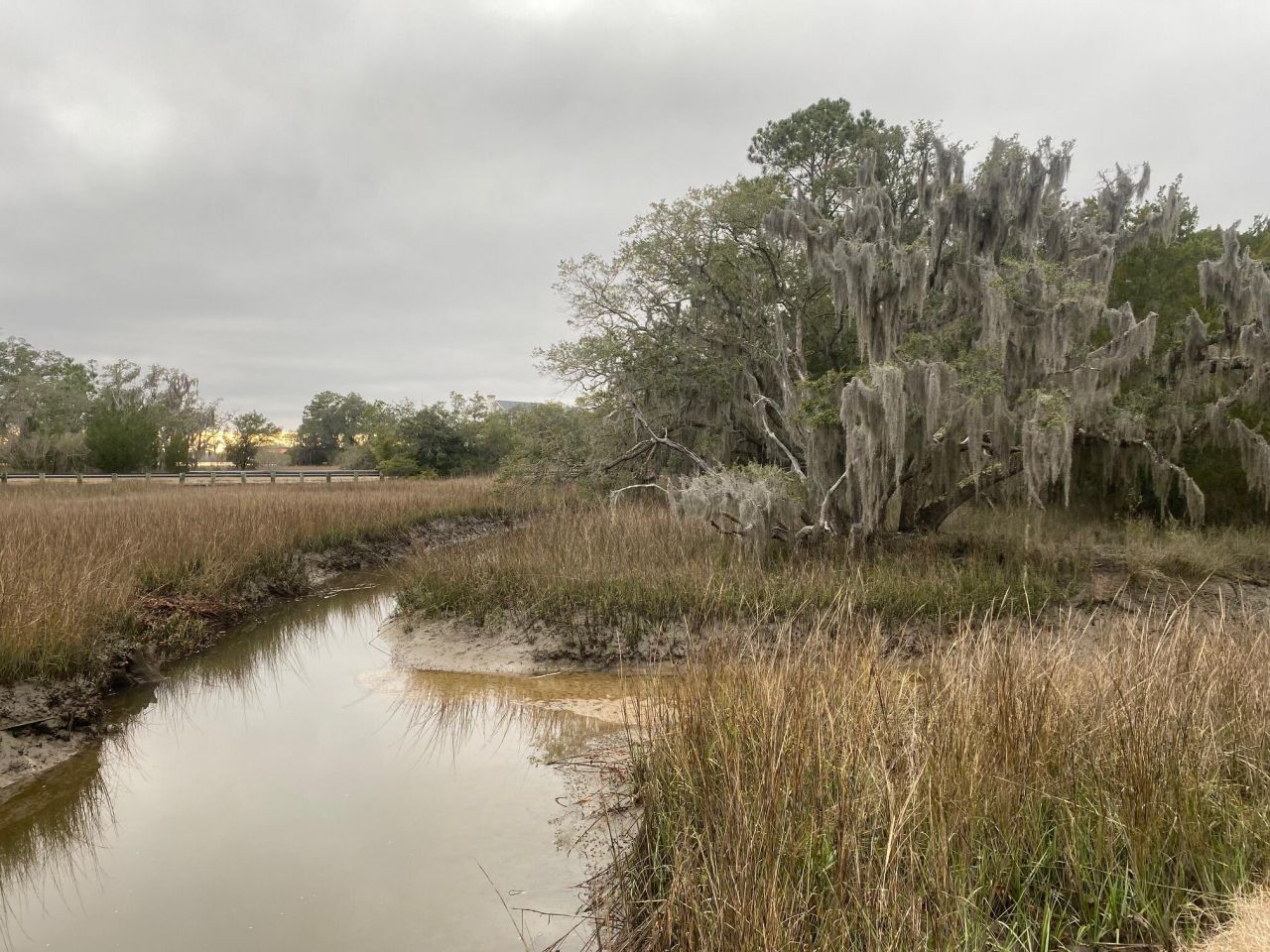 6079 Josie Ridge Road Photo 26