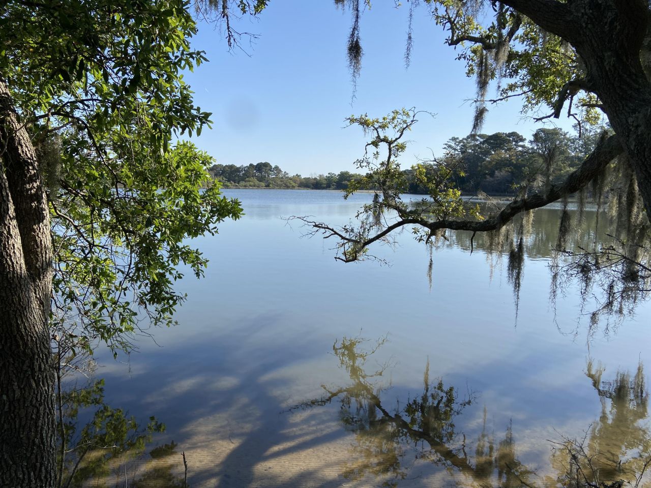 6079 Josie Ridge Road Photo 27