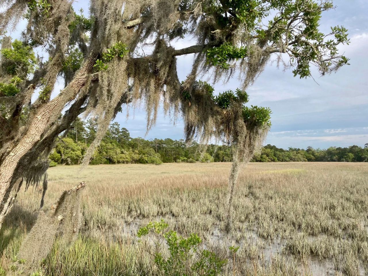 6079 Josie Ridge Road Photo 28