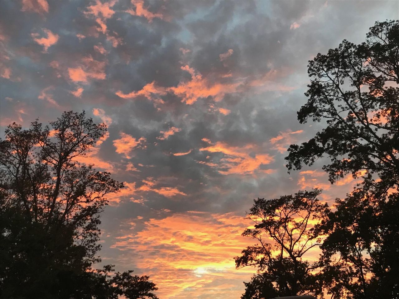 6079 Josie Ridge Road Photo 29