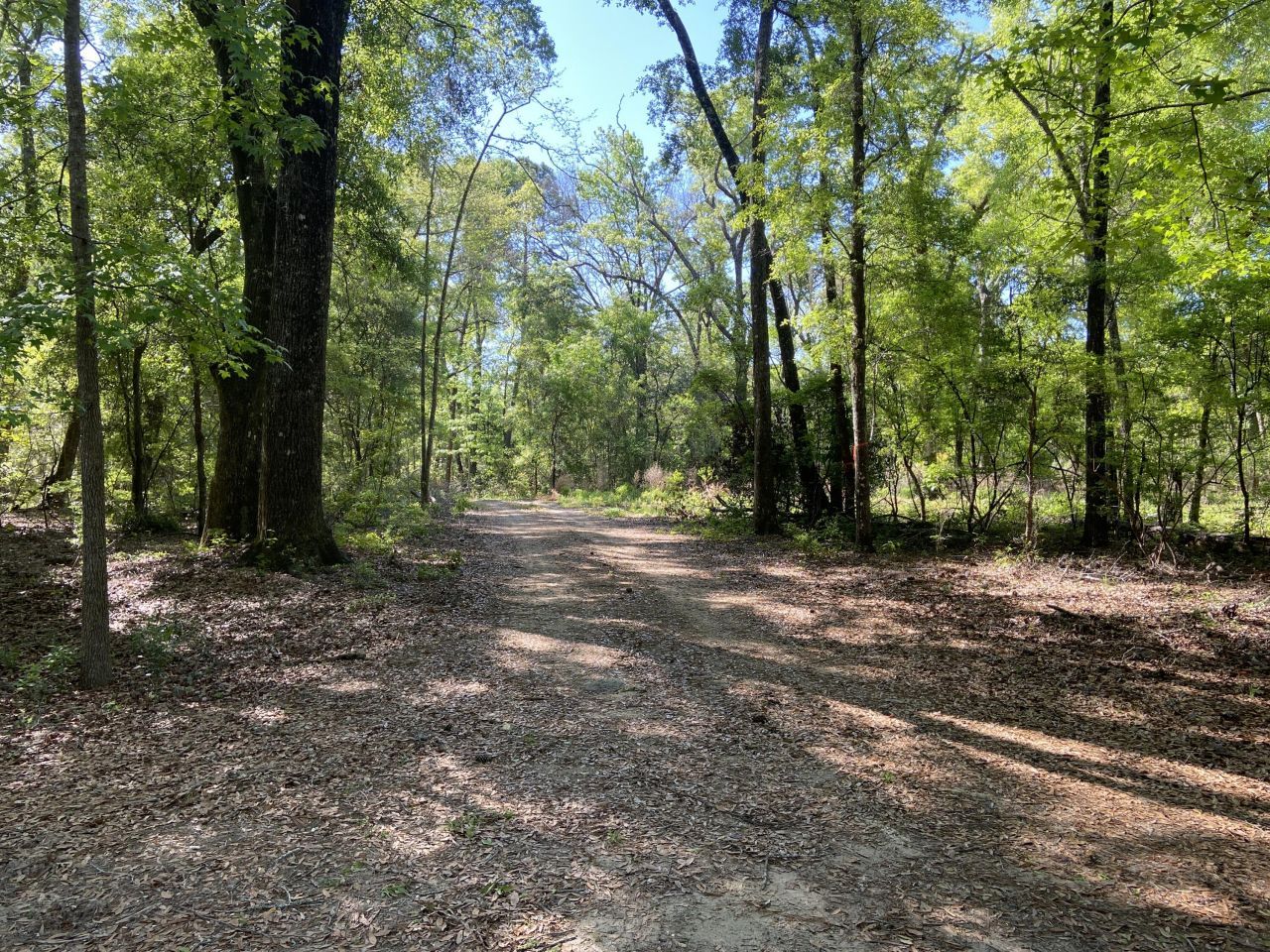 6079 Josie Ridge Road Photo 4