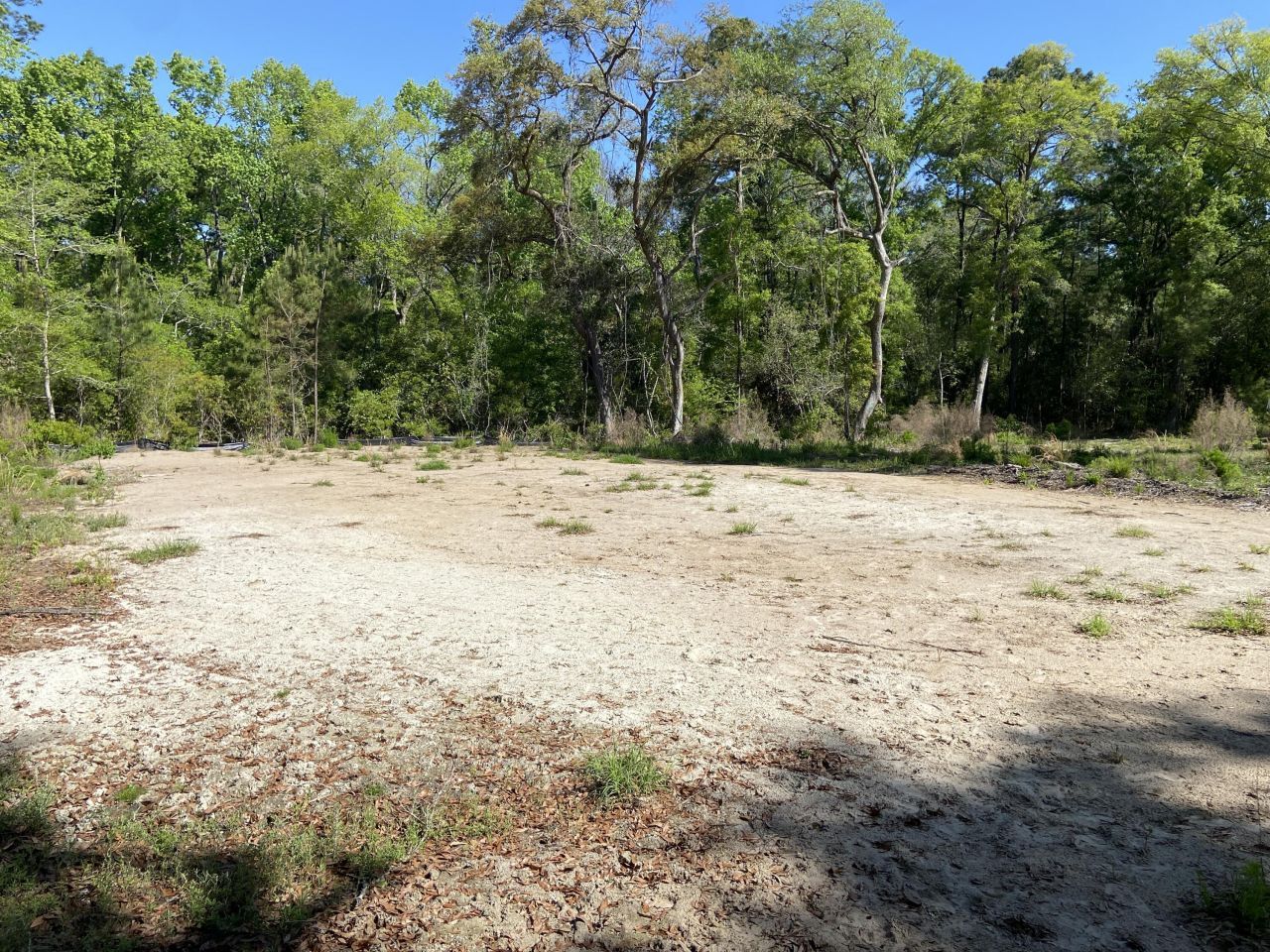 6079 Josie Ridge Road Photo 4