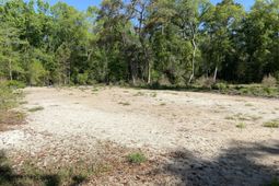 6079 Josie Ridge Road photo 4