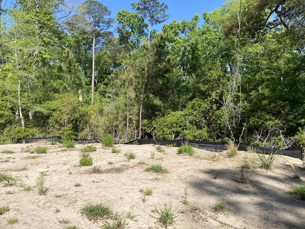 6079 Josie Ridge Road Photo 5