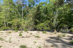 6079 Josie Ridge Road photo 4