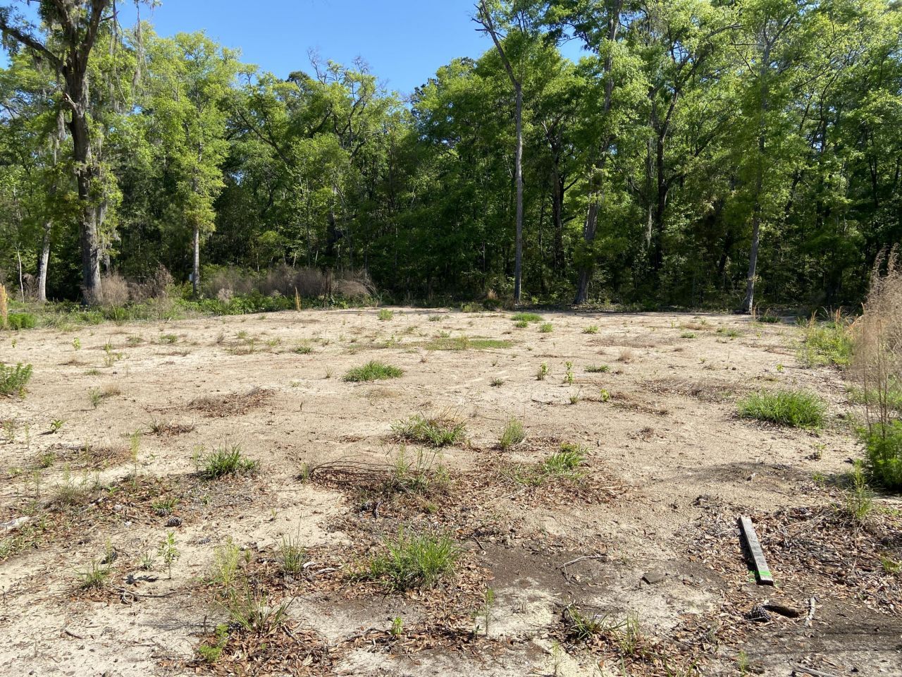 6079 Josie Ridge Road Photo 6