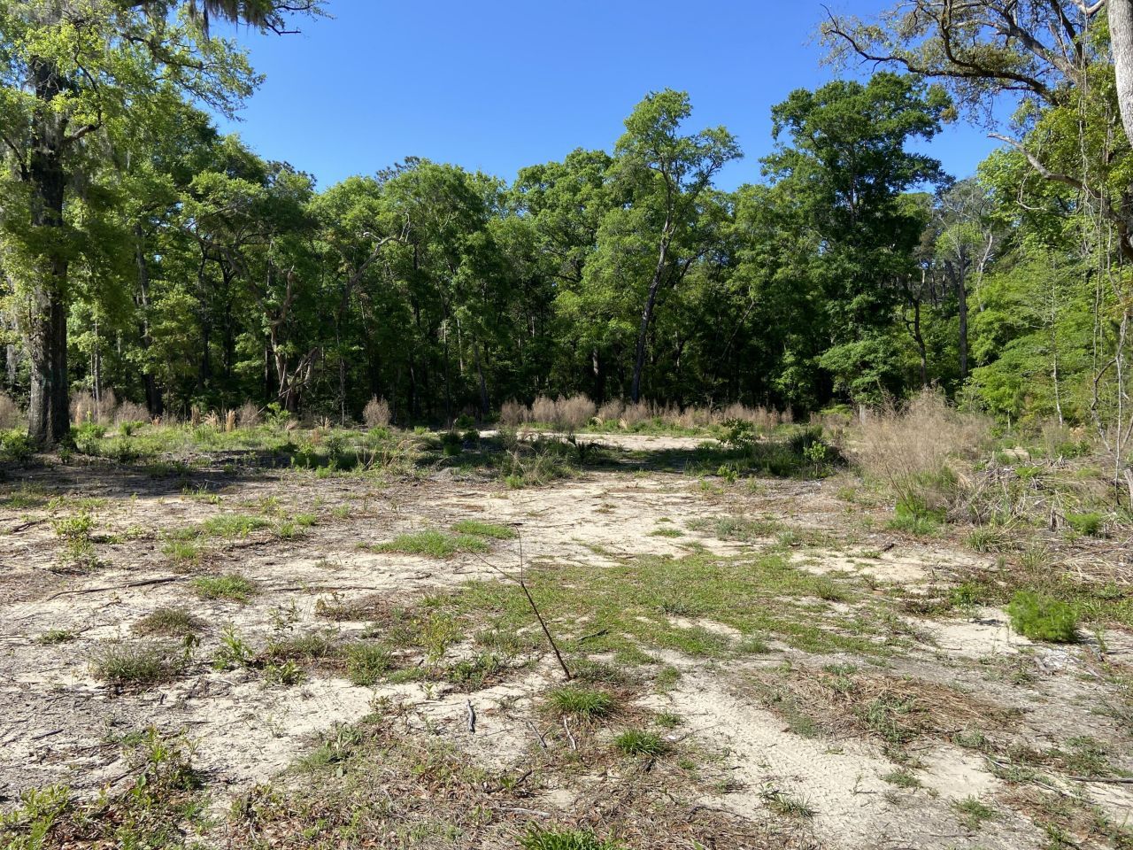 6079 Josie Ridge Road Photo 6