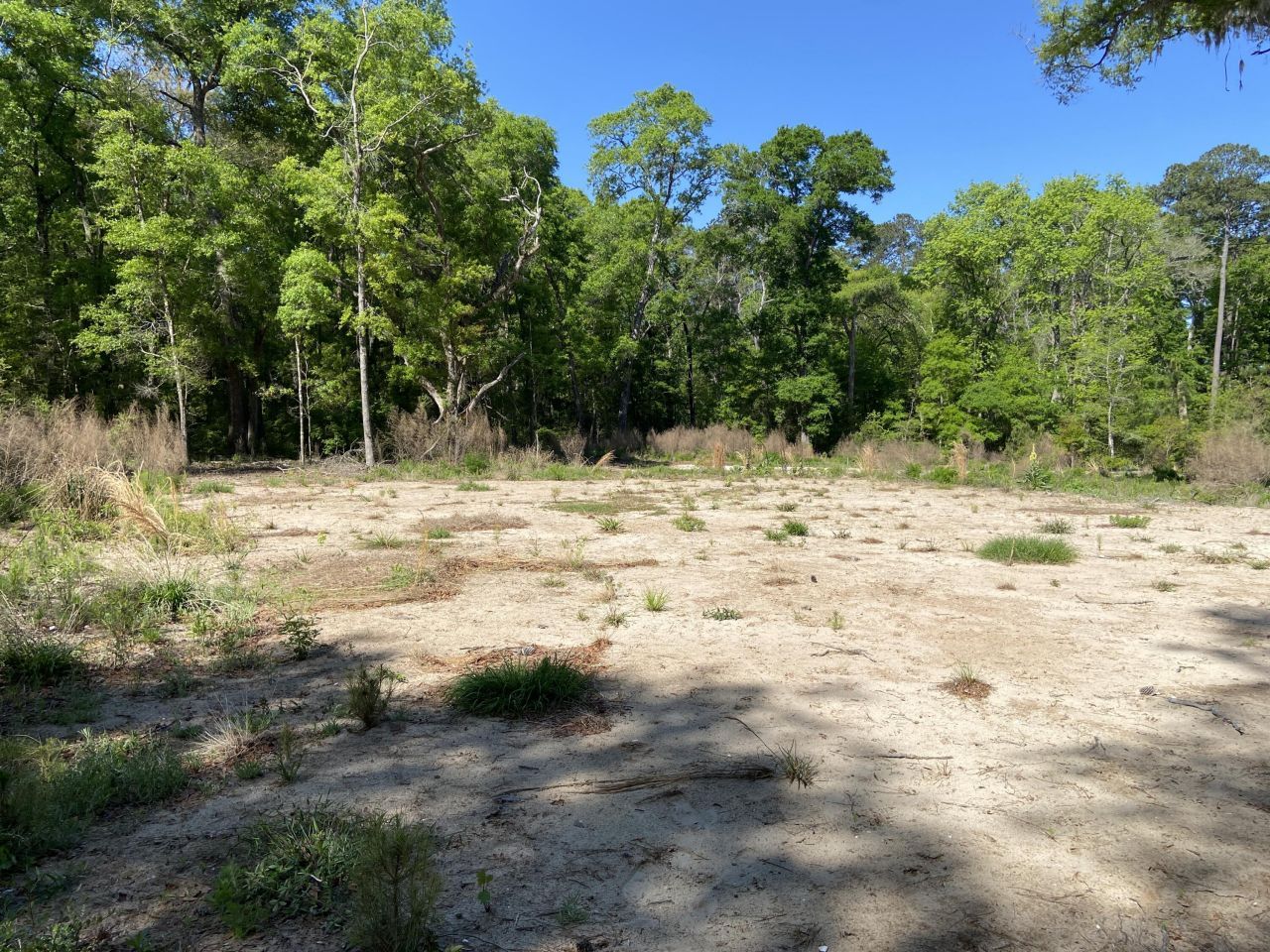 6079 Josie Ridge Road Photo 7