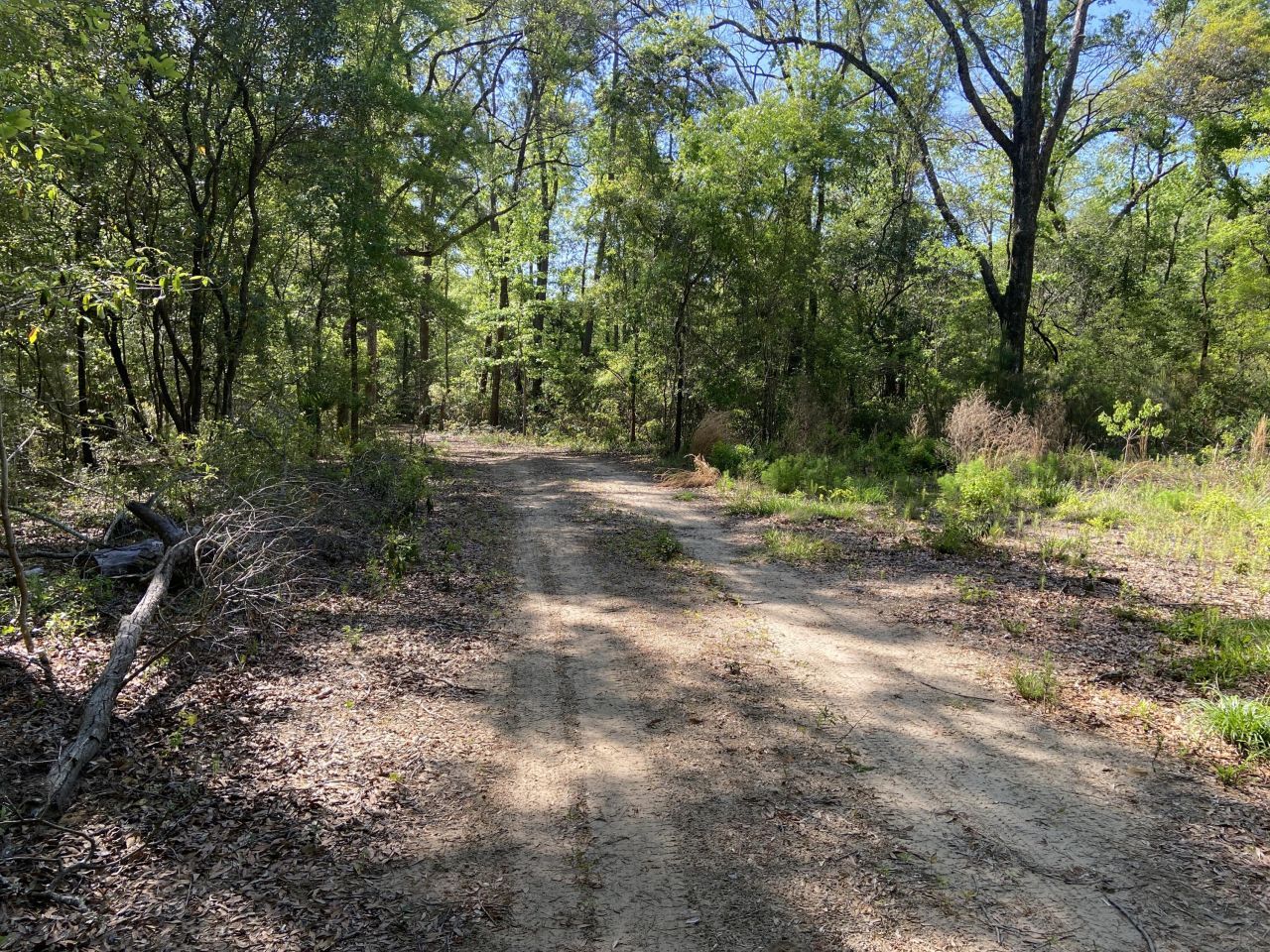 6079 Josie Ridge Road Photo 7