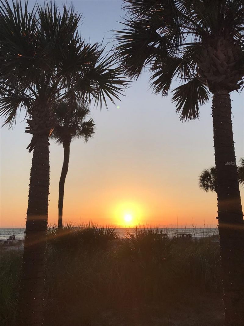 130 4th Avenue N, Unit 602, Saint Petersburg, FL 33701 Photo