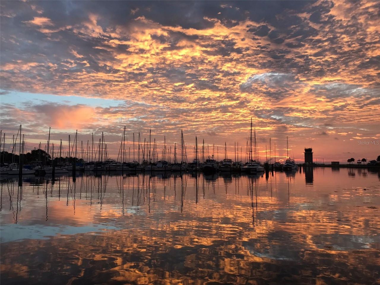 130 4th Avenue N, Unit 602, Saint Petersburg, FL 33701 Photo