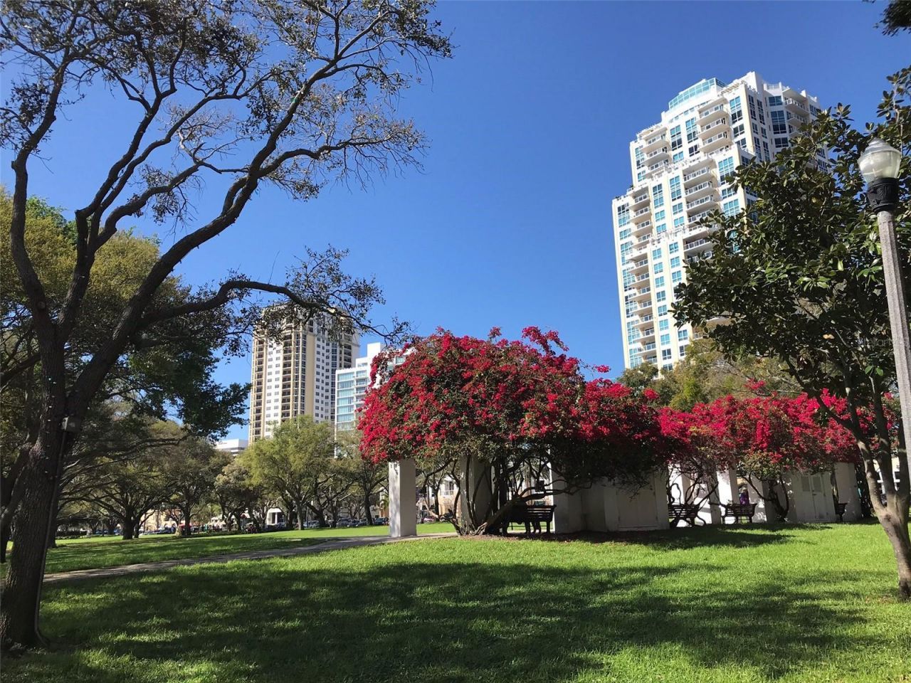 130 4th Avenue N, Unit 602, Saint Petersburg, FL 33701 Photo