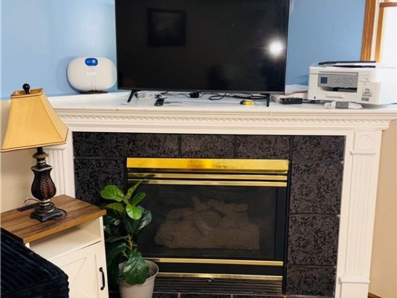 9 Willow Way, Canfield, OH 44406 Photo 12