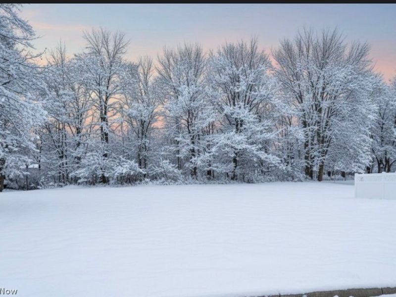 9 Willow Way, Canfield, OH 44406 Photo 2