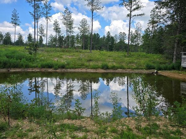 Tract 8 Boone Lane, Sunbright, TN 37872