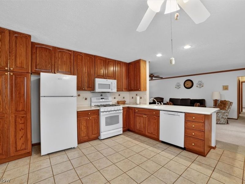 10024 Huntington Park Drive, Strongsville, OH 44136 Photo 13