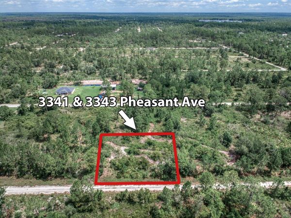 3341 & 3343 PHEASANT AVENUE, LAKE PLACID, FL 33852